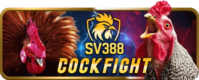 Bước 3: Xác nhận và hoàn tất đăng ký 8qbet app